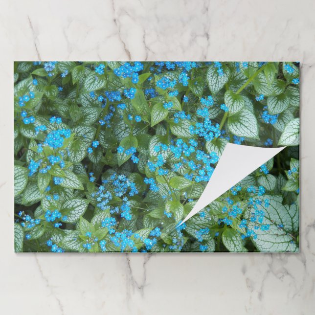 Tiny Blue Brunnera Flowers Paper Placemats (Folded)