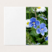 tiny blue flowers (Outside Unfolded)