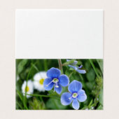 tiny blue flowers (Outside Unfolded)