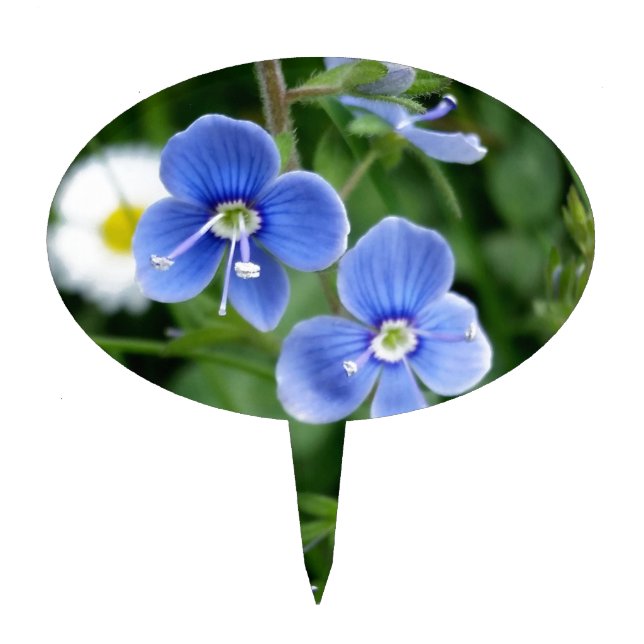 tiny blue flowers cake topper (Front)