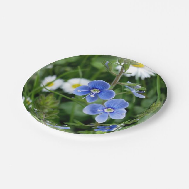 tiny blue flowers paper plates (Angled)