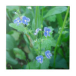 Tiny Blue Wildflowers Tile at Zazzle