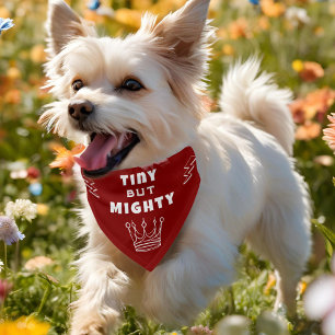 Tiny but Mighty Crown Funny Dog Pet Bandana Collar