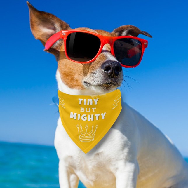 Tiny but Mighty Crown Funny Dog Pet Bandana Collar (Creator Uploaded)