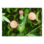 Tiny Cheerleader card (Front Horizontal)