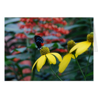 Tiny Color Cards