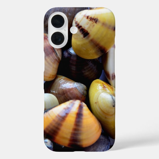 Tiny Colorful Clam Shells Case-Mate iPhone Case (Back)