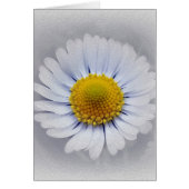 Tiny daisies (Front)