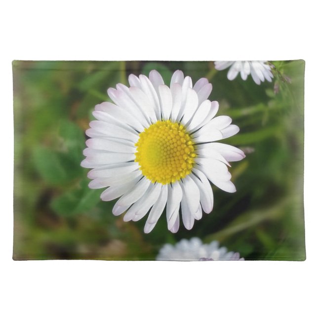 Tiny daisies cloth placemat (Front)