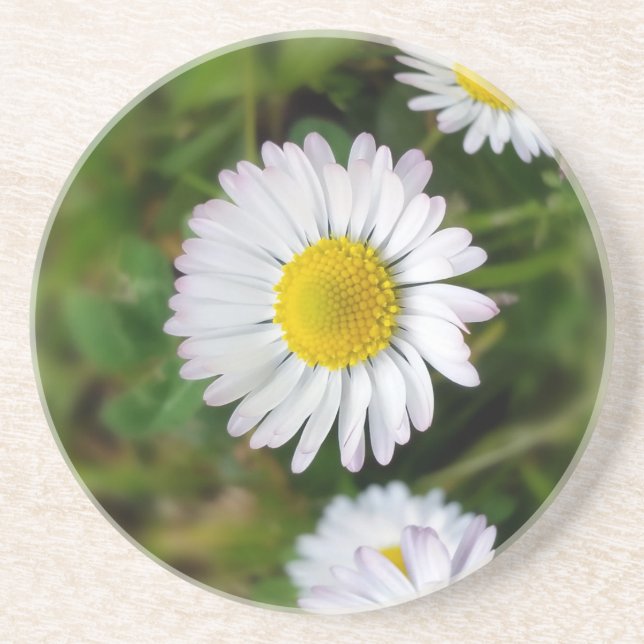 Tiny daisies coaster (Front)
