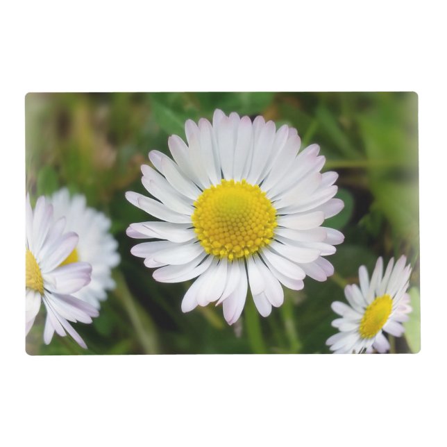 Tiny daisies placemat (Back)