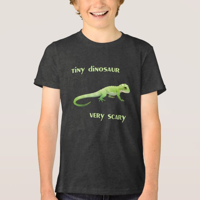 Tiny Dinosaur, Very Scary Tri-Blend Shirt (Front)