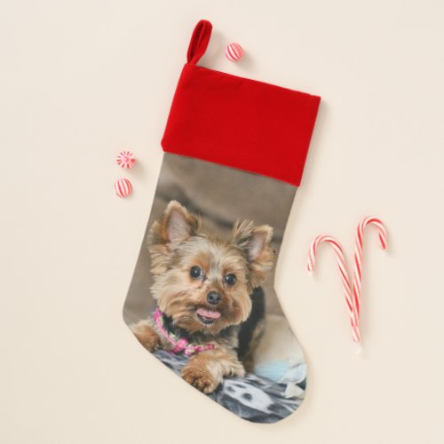 Tiny dynamo christmas stocking