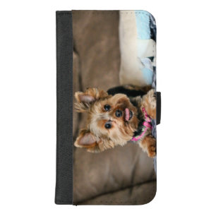 Tiny dynamo iPhone 8/7 plus wallet case