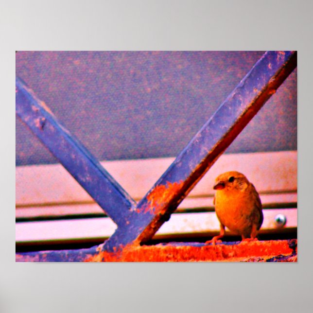 Tiny Finch Poster (Front)