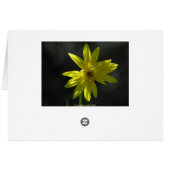 Tiny Flower (Back Horizontal)