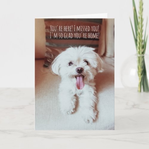 Tiny Fluffy Dog Happy To See You Dogs are the Best Card