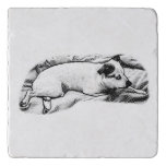 Tiny Gallery: Bedtime Terrier Dots Trivet