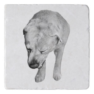 Tiny Gallery Lab, Cocoa Nights Trivet