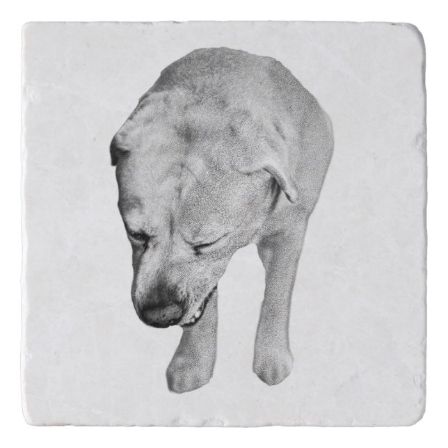 Tiny Gallery Lab, Cocoa Nights Trivet (Front)
