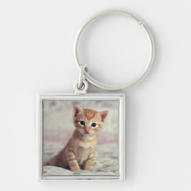 Tiny Ginger Kitten Keychain (Front)