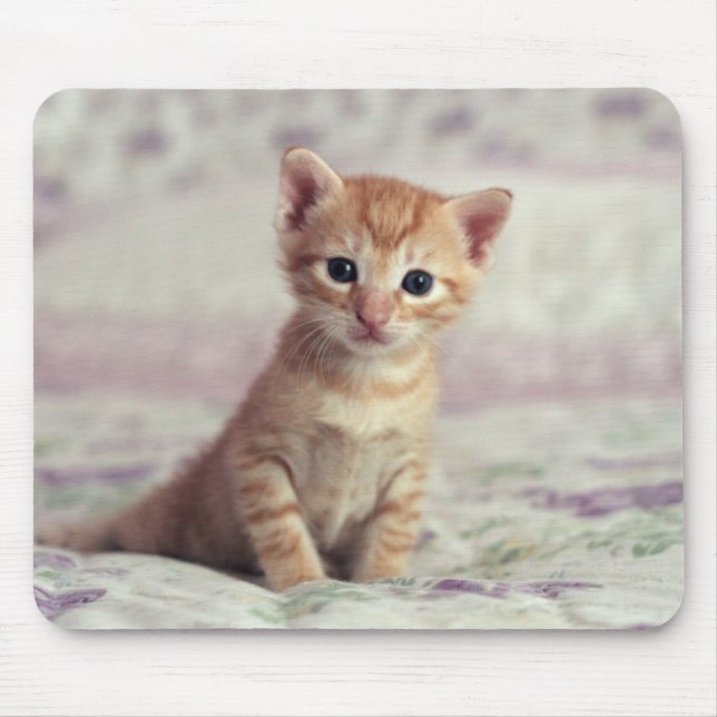 Tiny Ginger Kitten Mouse Pad (Front)