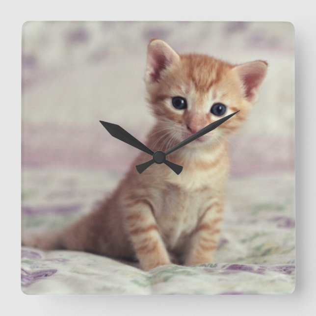 Tiny Ginger Kitten Square Wall Clock (Front)