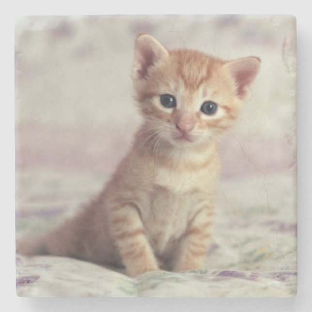 Tiny Ginger Kitten Stone Coaster (Front)