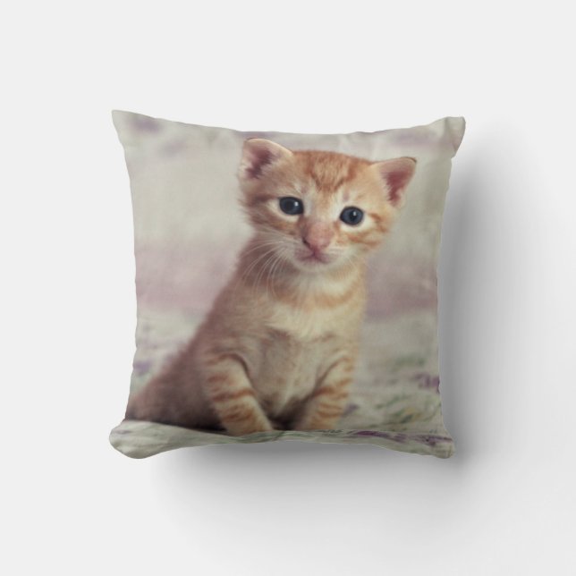 Tiny Ginger Kitten Throw Pillow (Front)