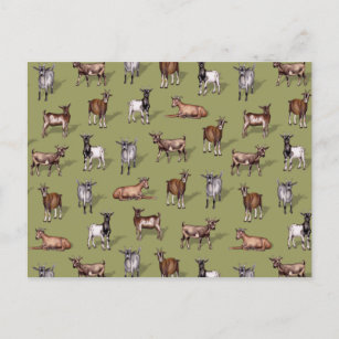 Tiny Goats on Green - Goat Herd Pattern Postcard