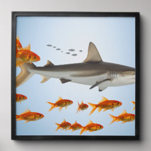 “Tiny Goldfish, Big Shark Energy” Peel And Stick Photo Tile