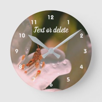 Tiny Grasshopper On Azalea Flower Personalized   Round Clock by SmilinEyesTreasures at Zazzle