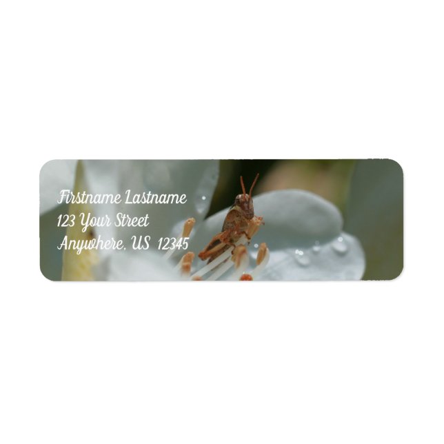 Tiny Grasshopper On White Azalea Flower Address Label (Front)