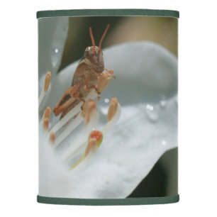 Tiny Grasshopper On White Azalea Flower Lamp Shade