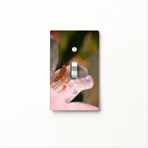 Tiny Grasshopper On White Azalea Flower   Light Switch Cover