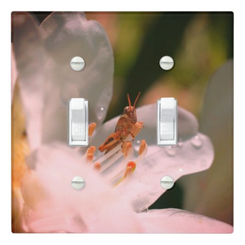 Tiny Grasshopper On White Azalea Flower    Light Switch Cover