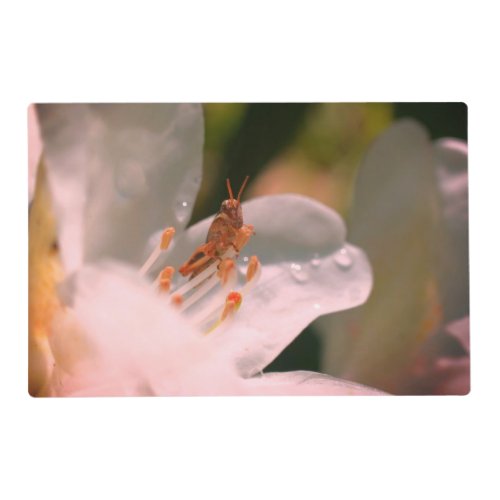 Tiny Grasshopper On White Azalea Flower   Placemat