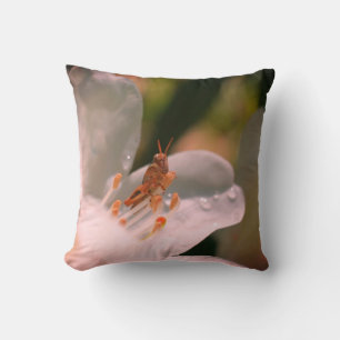 Tiny Grasshopper On White Azalea Flower Throw Pillow