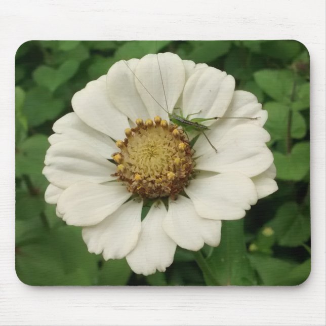 Tiny Grasshopper on White Flower Mouse Pad (Front)
