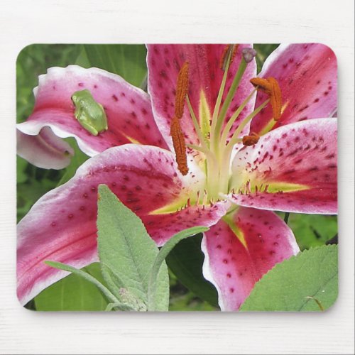 Tiny Green Frog on Stargazer Lily Mouse Pad
