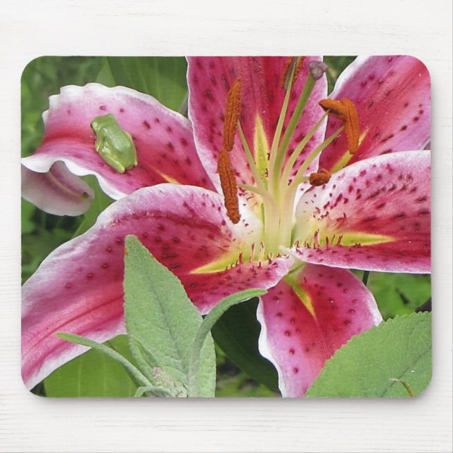 Tiny Green Frog on Stargazer Lily Mouse Pad (Front)