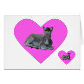 Tiny Grey Donkey Foal in Big Pink Heart (Front Horizontal)