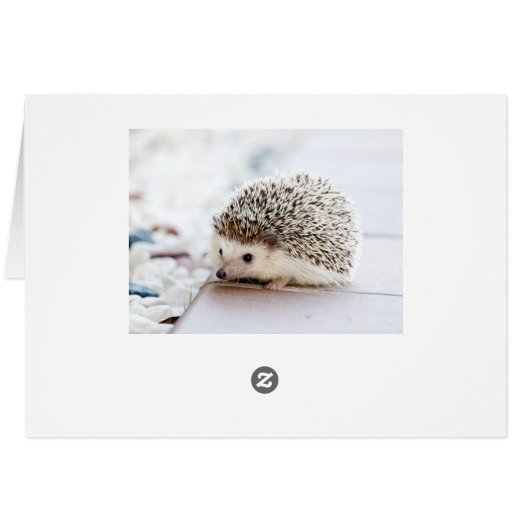 Tiny Hedgehog (Back Horizontal)