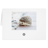 Tiny Hedgehog Cards (Back Horizontal)