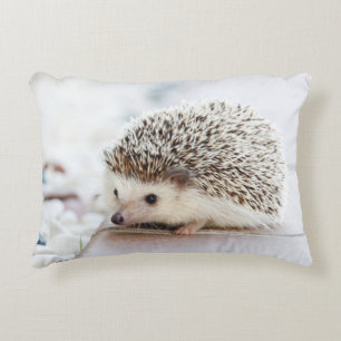 Tiny Hedgehog Decorative Pillow