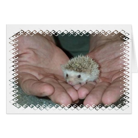 Tiny hedgehog in two hands cards (Front Horizontal)