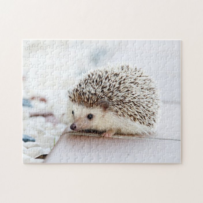 Tiny Hedgehog Jigsaw Puzzle | Zazzle.com