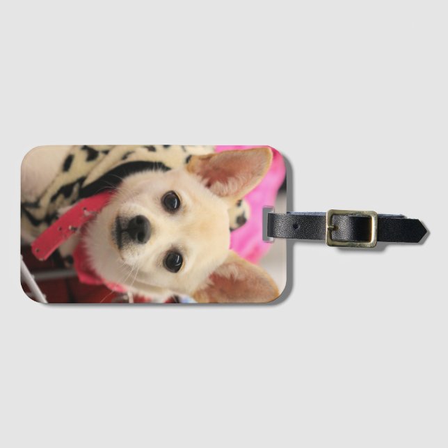 Tiny helper luggage tag (Front Horizontal)