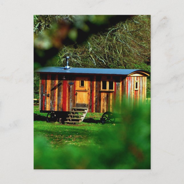 TINY HOUSE CUTE POSTCARD (Front)