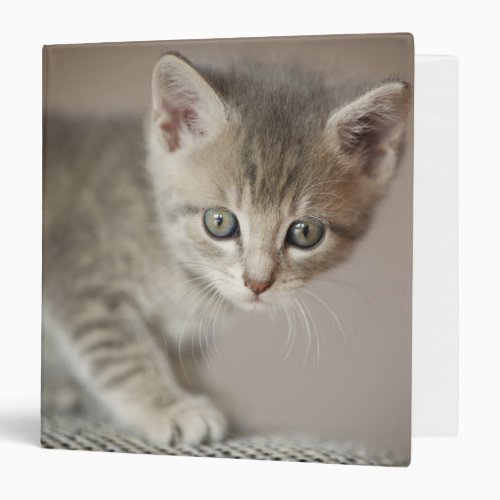 Tiny Kitten Binder